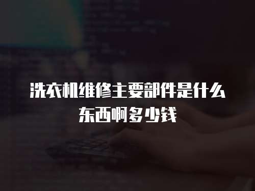 洗衣機維修主要部件是什么東西啊多少錢