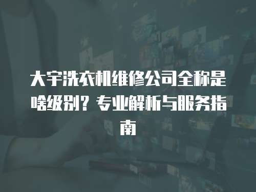 大宇洗衣機維修公司全稱是啥級別？專業解析與服務指南