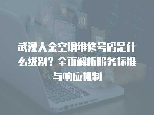 武漢大金空調維修號碼是什么級別？全面解析服務標準與響應機制