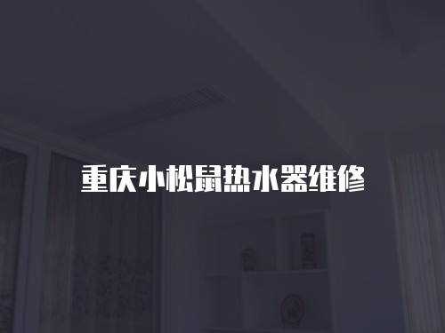 重慶小松鼠熱水器維修