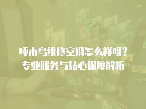 啄木鳥維修空調(diào)怎么樣呀？專業(yè)服務(wù)與貼心保障解析
