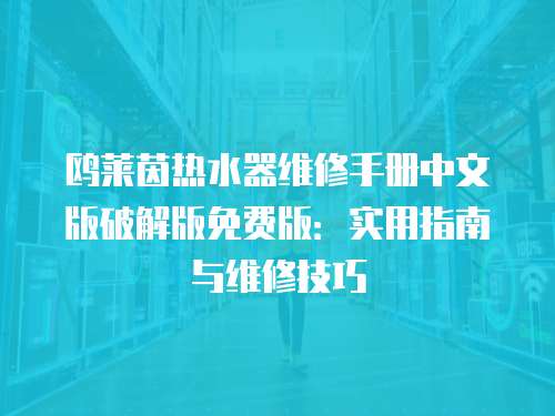 鷗萊茵熱水器維修手冊中文版破解版免費(fèi)版：實(shí)用指南與維修技巧