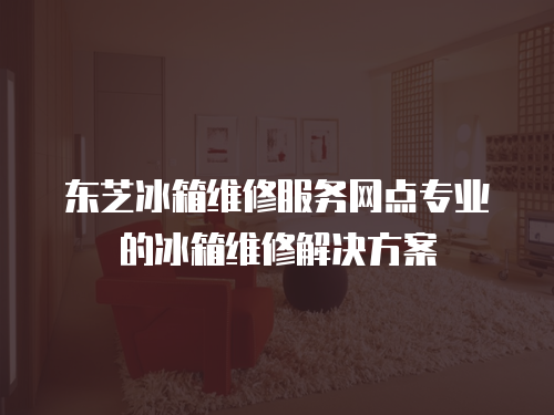 東芝冰箱維修服務網點專業的冰箱維修解決方案