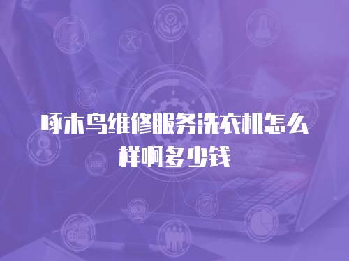 啄木鳥維修服務洗衣機怎么樣啊多少錢