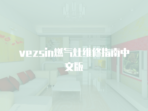 vezsin燃?xì)庠罹S修指南中文版