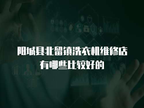 陽(yáng)城縣北留鎮(zhèn)洗衣機(jī)維修店有哪些比較好的