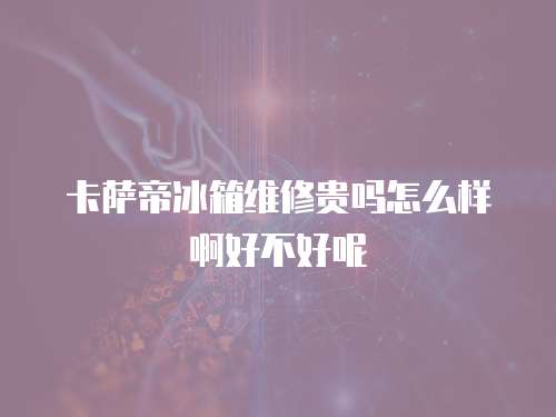 卡薩帝冰箱維修貴嗎怎么樣啊好不好呢