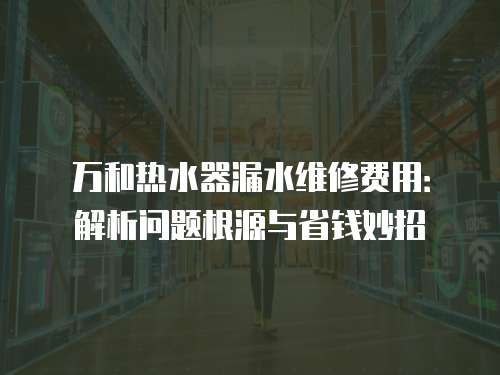 萬和熱水器漏水維修費用：解析問題根源與省錢妙招