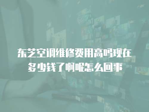 東芝空調(diào)維修費用高嗎現(xiàn)在多少錢了啊呢怎么回事