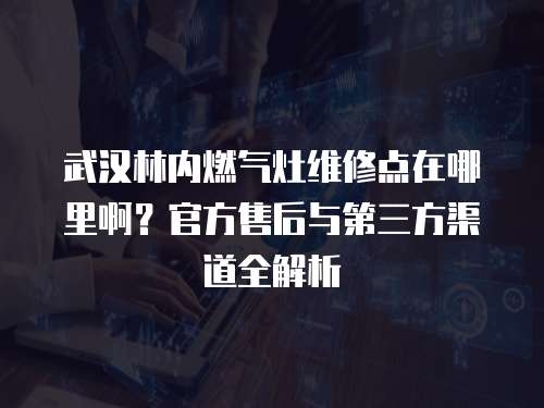 武漢林內燃氣灶維修點在哪里啊？官方售后與第三方渠道全解析