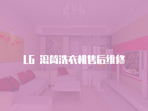LG 滾筒洗衣機售后維修