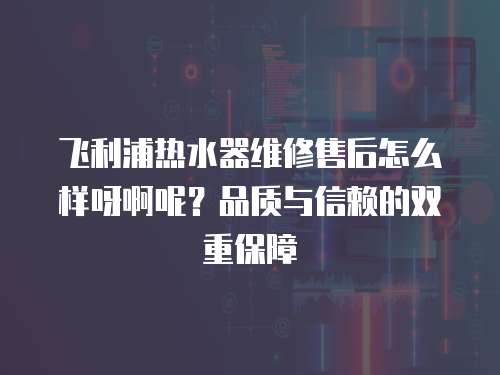 飛利浦熱水器維修售后怎么樣呀啊呢？品質與信賴的雙重保障