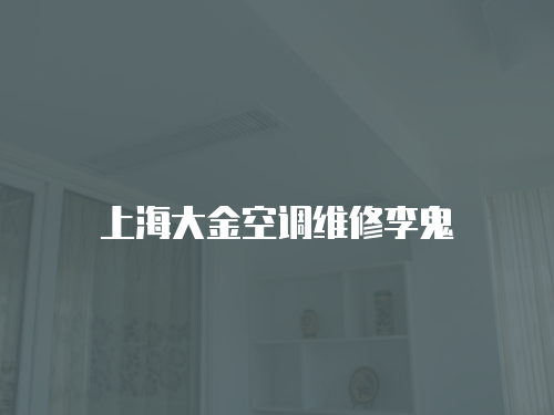 上海大金空調維修李鬼