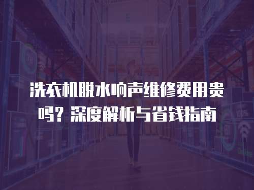 洗衣機脫水響聲維修費用貴嗎？深度解析與省錢指南