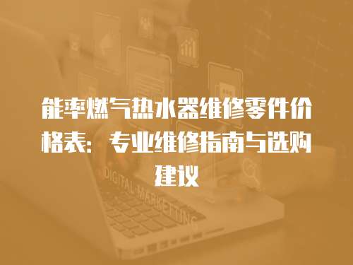 能率燃?xì)鉄崴骶S修零件價格表：專業(yè)維修指南與選購建議