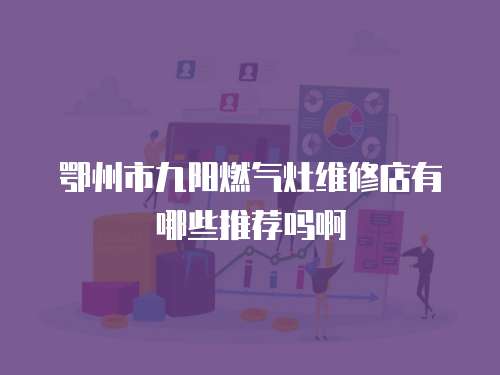 鄂州市九陽(yáng)燃?xì)庠罹S修店有哪些推薦嗎啊
