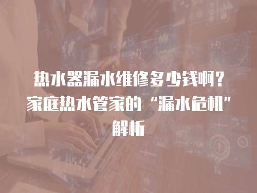 熱水器漏水維修多少錢啊？家庭熱水管家的“漏水危機”解析