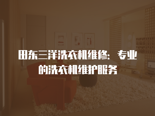 田東三洋洗衣機維修：專業的洗衣機維護服務
