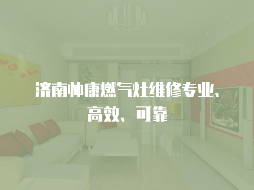 濟(jì)南帥康燃?xì)庠罹S修專業(yè)、高效、可靠