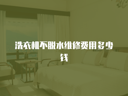 洗衣機(jī)不脫水維修費(fèi)用多少錢