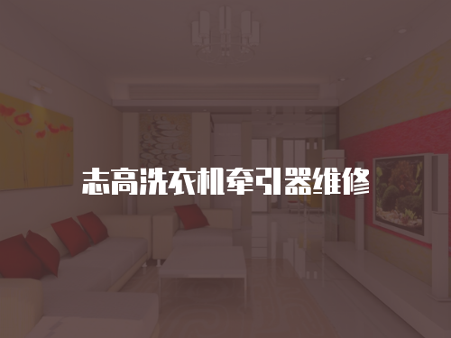 志高洗衣機牽引器維修